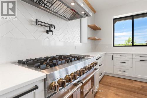 367 Gifford Drive, Smith-Ennismore-Lakefield, ON - Indoor Photo Showing Kitchen With Upgraded Kitchen