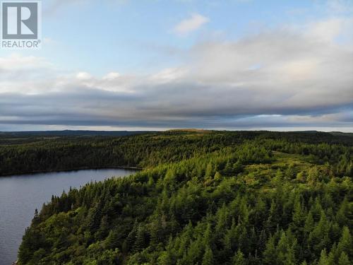 16 Snows Pond Road, North River, NL - Outdoor With View