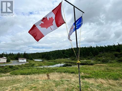 16 Snows Pond Road, North River, NL - Outdoor With View