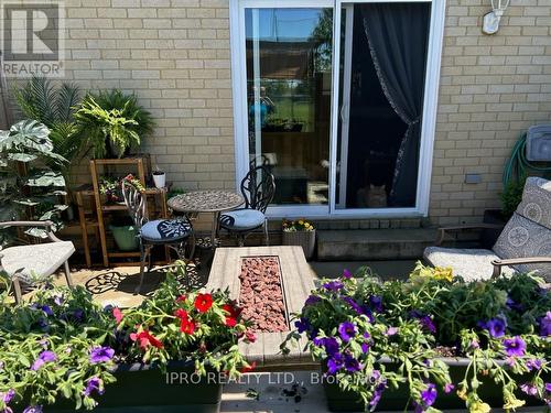 24 - 65 Dorchester Boulevard, St. Catharines, ON - Outdoor With Deck Patio Veranda