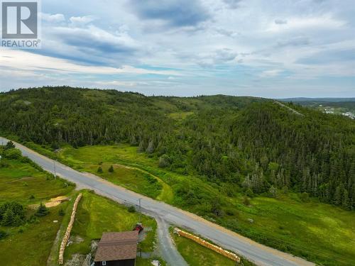 24 Champneys West Road, Port Rexton, NL - Outdoor With View