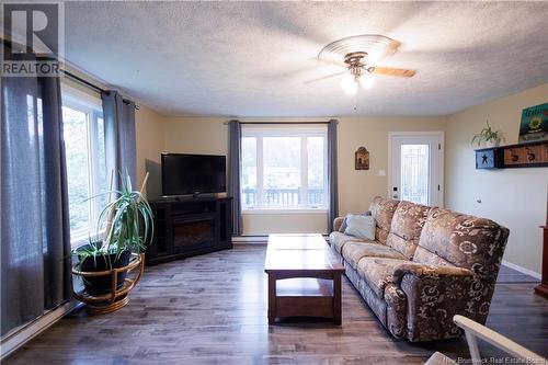 49 Riviera Street, Dsl De Drummond/Dsl Of Drummond, NB - Indoor Photo Showing Living Room