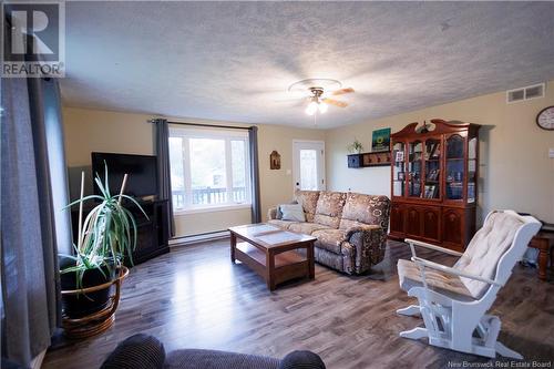 49 Riviera Street, Dsl De Drummond/Dsl Of Drummond, NB - Indoor Photo Showing Living Room