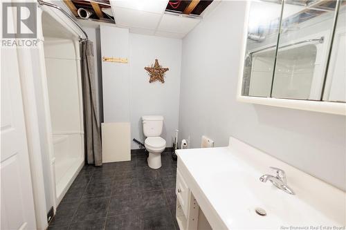 49 Riviera Street, Dsl De Drummond/Dsl Of Drummond, NB - Indoor Photo Showing Bathroom