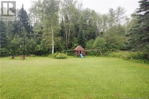 49 Riviera Street, Dsl De Drummond/Dsl Of Drummond, NB - Outdoor