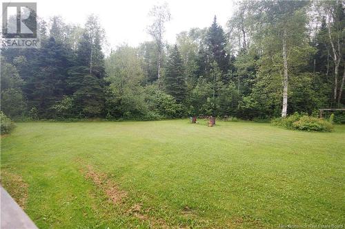 49 Riviera Street, Dsl De Drummond/Dsl Of Drummond, NB - Outdoor