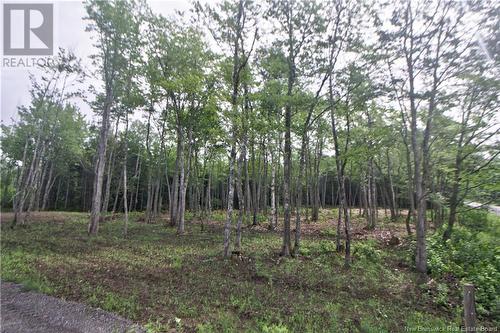 Lot 23-2 California Road, Galloway, NB 