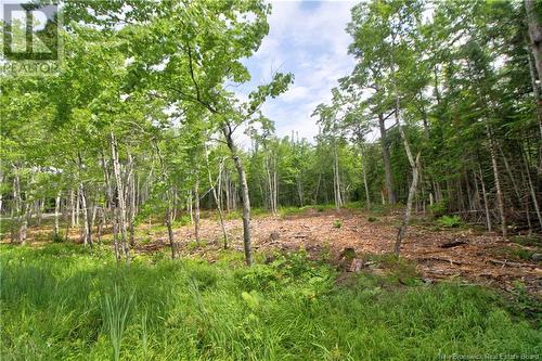 Lot 23-2 California Road, Galloway, NB 