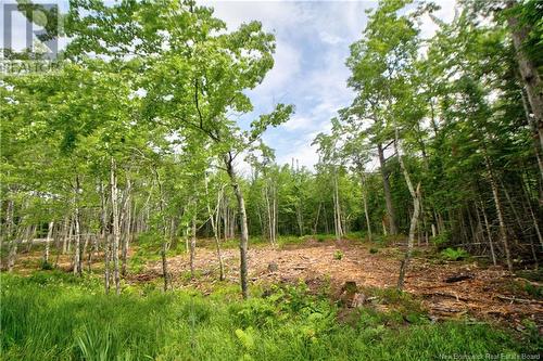 Lot 23-2 California Road, Galloway, NB 