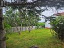 378 Creston Boulevard, Creston South, NL  - Outdoor 