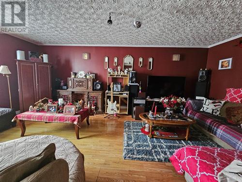 378 Creston Boulevard, Creston South, NL - Indoor Photo Showing Living Room