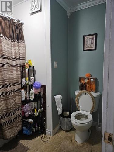 378 Creston Boulevard, Creston South, NL - Indoor Photo Showing Bathroom