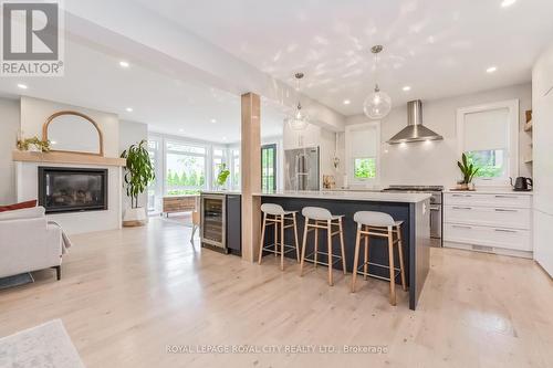 279 Geddes Street, Centre Wellington (Elora/Salem), ON - Indoor Photo Showing Kitchen With Fireplace With Upgraded Kitchen