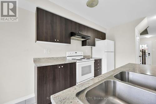 244 Powell Road, Brantford, ON - Indoor Photo Showing Kitchen With Double Sink