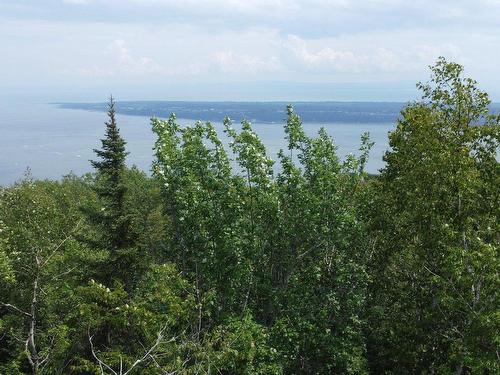 Aerial photo - 158 Ch. Du Domaine-Charlevoix, Baie-Saint-Paul, QC 