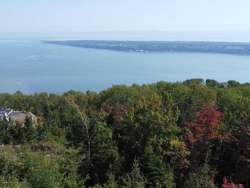 Vue d'ensemble - 158 Ch. Du Domaine-Charlevoix, Baie-Saint-Paul, QC 