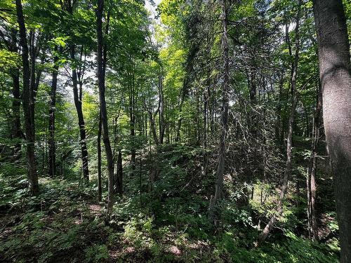 Land/Lot - Rue Principale, Prévost, QC 