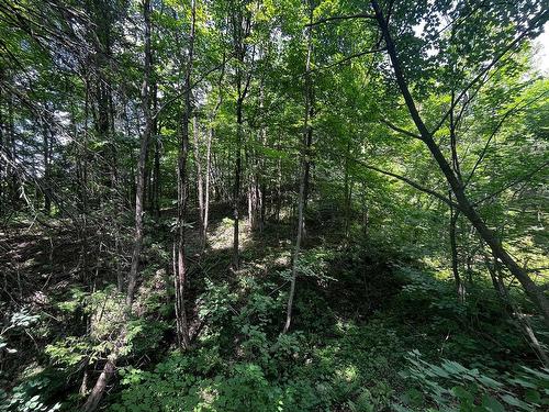 Land/Lot - Rue Principale, Prévost, QC 