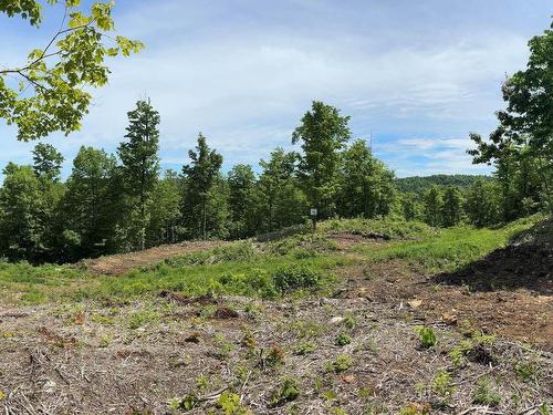 Terre/Terrain - 34 Ch. De La Montagne, Saint-Sixte, QC 