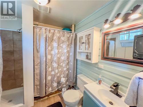 60 Leask Bay Shores Lane, Manitowaning, ON - Indoor Photo Showing Bathroom