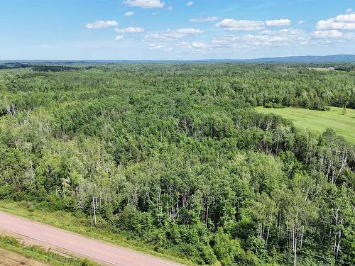 45 Acres Highway 246, Tatamagouche, NS 