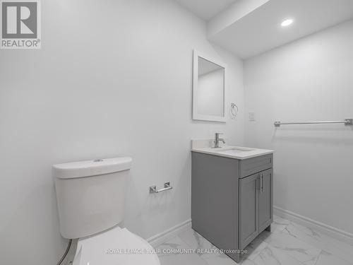 258 Livingstone Street E, Barrie (Little Lake), ON - Indoor Photo Showing Bathroom