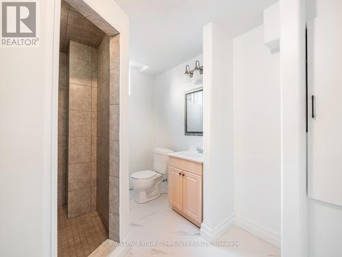 258 Livingstone Street E, Barrie (Little Lake), ON - Indoor Photo Showing Bathroom