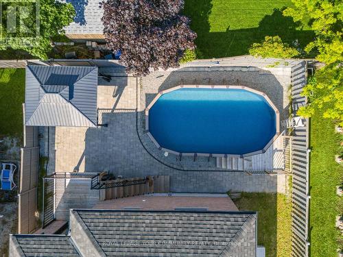 258 Livingstone Street E, Barrie (Little Lake), ON - Outdoor With In Ground Pool