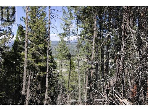 Lot 18 Osprey Landing Drive, Wardner, BC 