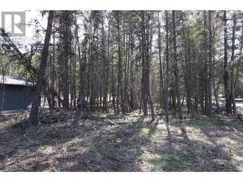 Lot 18 Osprey Landing Drive, Wardner, BC 