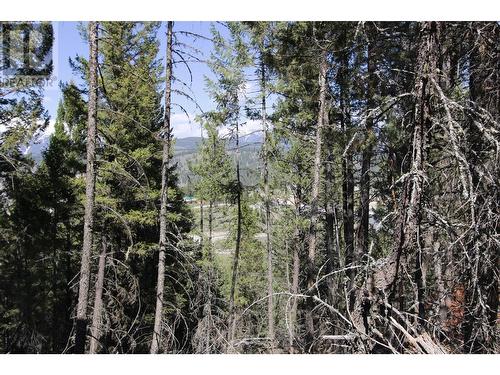 Lot 18 Osprey Landing Drive, Wardner, BC 