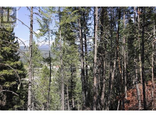 Lot 18 Osprey Landing Drive, Wardner, BC 