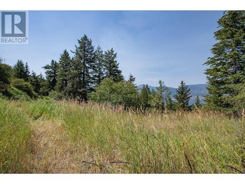 Lot 20 Commonage Road, Lake Country, BC 