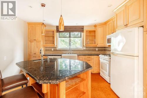 48 Springfield Road, Ottawa, ON - Indoor Photo Showing Kitchen