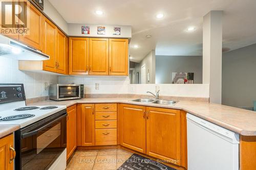 31 - 10 Cadham Boulevard, Hamilton (Broughton), ON - Indoor Photo Showing Kitchen With Double Sink