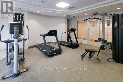 T09 - 16 Dallimore Circle, Toronto (Banbury-Don Mills), ON - Indoor Photo Showing Gym Room