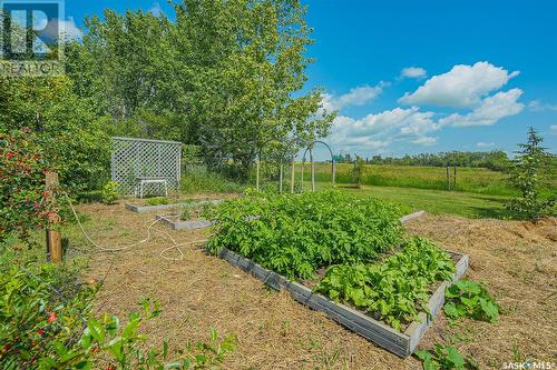 Brown Family Acreage, Aberdeen Rm No. 373, SK - Outdoor With View