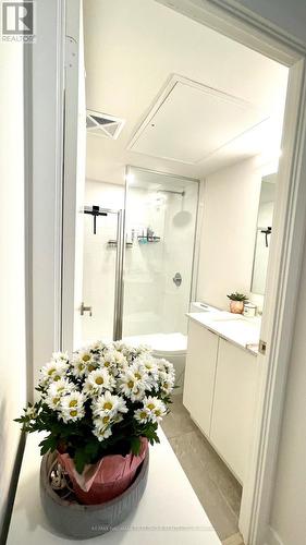 1022 - 30 Tretti Way, Toronto (Clanton Park), ON - Indoor Photo Showing Bathroom