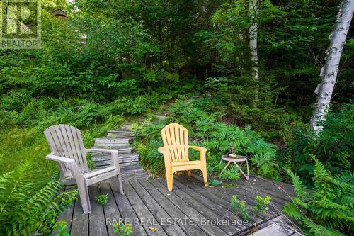 139D Petit Lane, Kearney, ON - Outdoor With Deck Patio Veranda