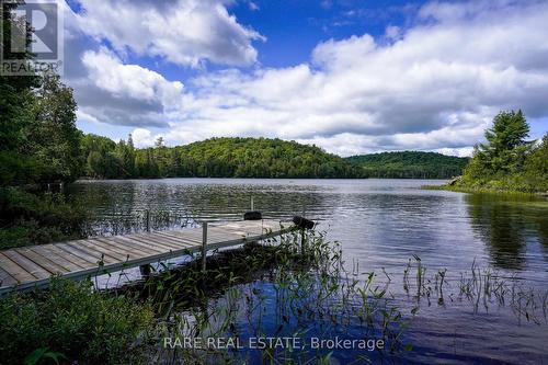 139D Petit Lane, Kearney, ON - Outdoor With Body Of Water With View