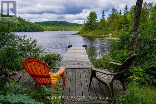 139D Petit Lane, Kearney, ON - Outdoor With Body Of Water With View