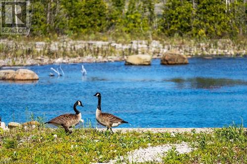 373 Eagle Road, Tobermory, ON - Outdoor With Body Of Water With View