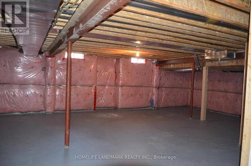 66 Henry Bauer Avenue, Markham (Berczy), ON - Indoor Photo Showing Basement