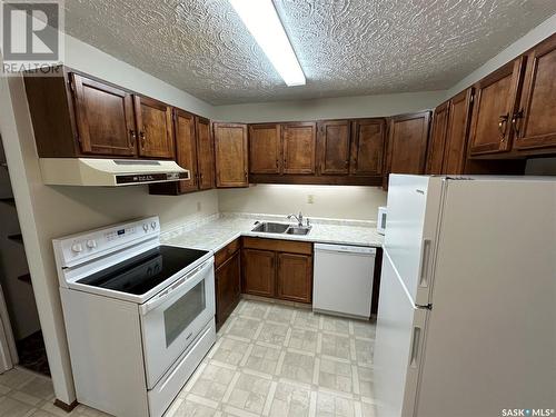 36 228 3Rd Street, Weyburn, SK - Indoor Photo Showing Kitchen With Double Sink