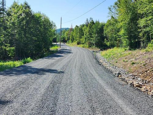 Rue - Rue Du Sommet-De-La-Rivière, Sainte-Marguerite-Du-Lac-Masson, QC 