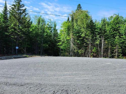 Rue - Rue Du Sommet-De-La-Rivière, Sainte-Marguerite-Du-Lac-Masson, QC 