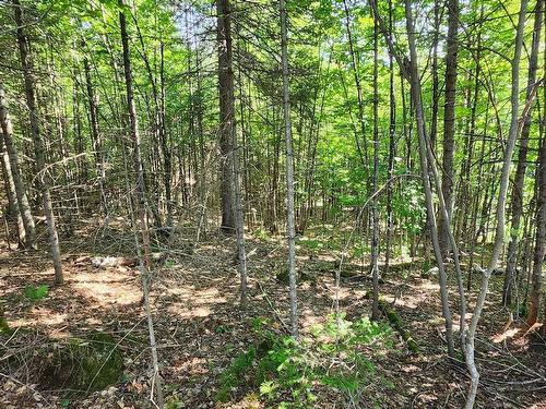 Terre/Terrain - Rue Du Sommet-De-La-Rivière, Sainte-Marguerite-Du-Lac-Masson, QC 