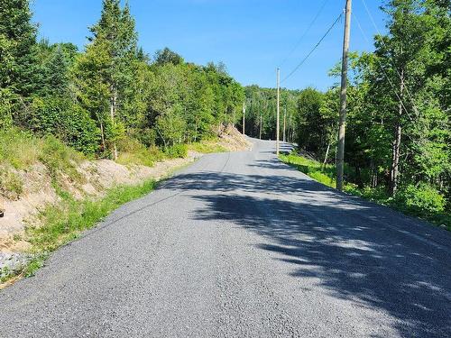 Rue - Rue Du Sommet-De-La-Rivière, Sainte-Marguerite-Du-Lac-Masson, QC 