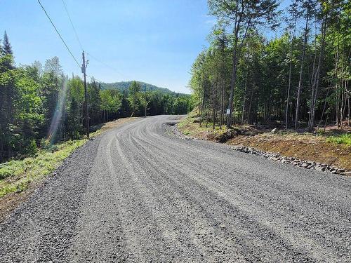 Rue - Rue Du Sommet-De-La-Rivière, Sainte-Marguerite-Du-Lac-Masson, QC 