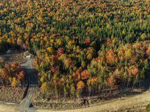 Photo aÃ©rienne - Rue Du Sommet-De-La-Rivière, Sainte-Marguerite-Du-Lac-Masson, QC 